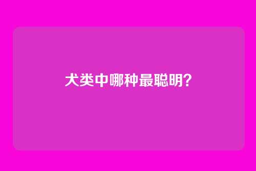 犬类中哪种最聪明？