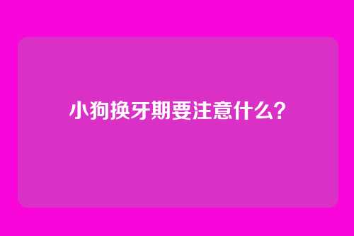 小狗换牙期要注意什么？
