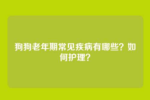 狗狗老年期常见疾病有哪些？如何护理？