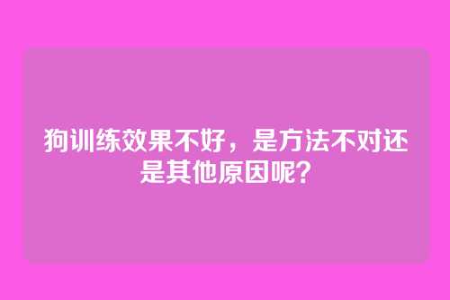 狗训练效果不好，是方法不对还是其他原因呢？