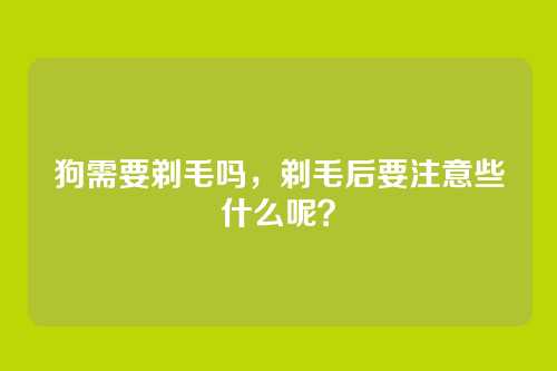 狗需要剃毛吗，剃毛后要注意些什么呢？