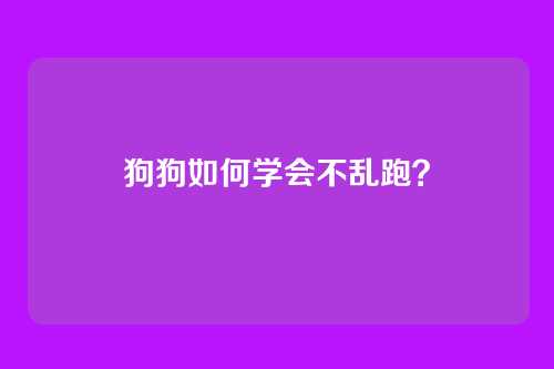 狗狗如何学会不乱跑？