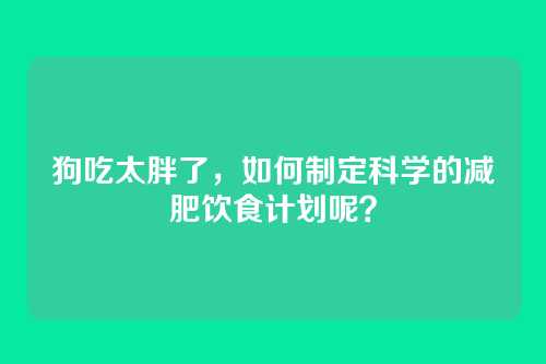 狗吃太胖了,如何制定科学的减肥饮食计划呢?
