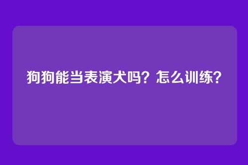 狗狗能当表演犬吗？怎么训练？