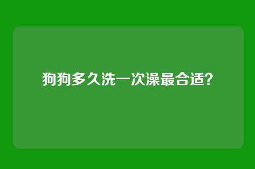 狗狗多久洗一次澡最合适?