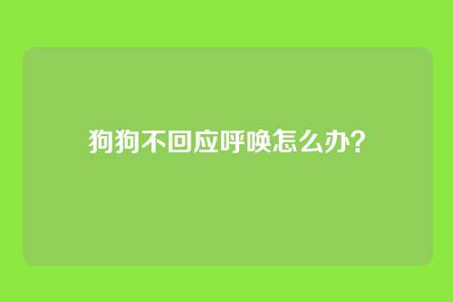 狗狗不回应呼唤怎么办？