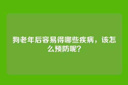 狗老年后容易得哪些疾病，该怎么预防呢？