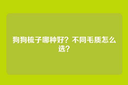 狗狗梳子哪种好？不同毛质怎么选？