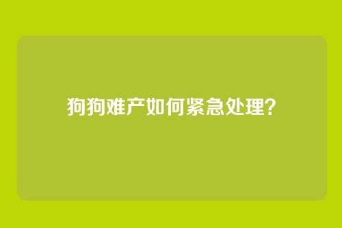 狗狗难产如何紧急处理？