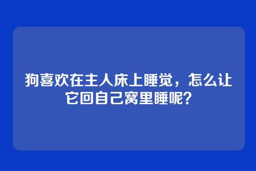 狗喜欢在主人床上睡觉，怎么让它回自己窝里睡呢？