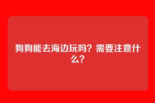 狗狗能去海边玩吗？需要注意什么？