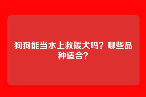 狗狗能当水上救援犬吗?哪些品种适合?