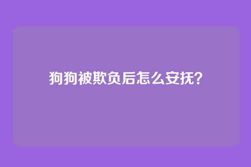 狗狗被欺负后怎么安抚？
