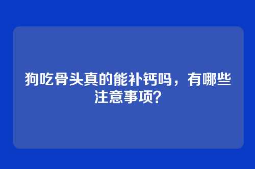 狗吃骨头真的能补钙吗，有哪些注意事项？