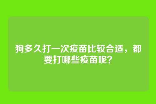 狗多久打一次疫苗比较合适，都要打哪些疫苗呢？