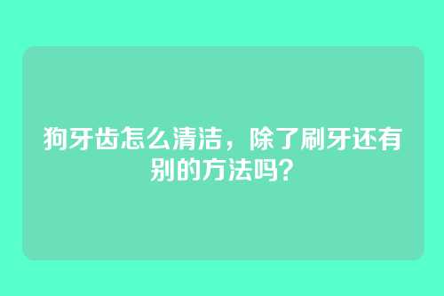 狗牙齿怎么清洁,除了刷牙还有别的方法吗?