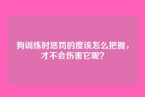 狗训练时惩罚的度该怎么把握，才不会伤害它呢？