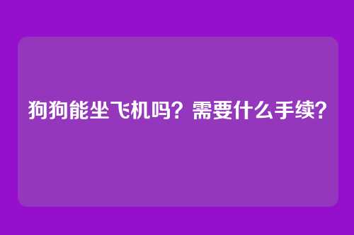 狗狗能坐飞机吗?需要什么手续?