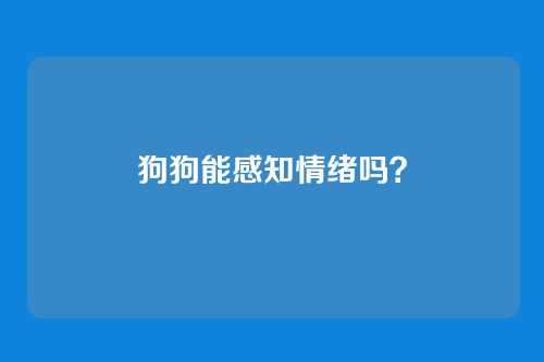 狗狗能感知情绪吗？
