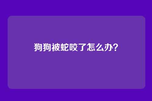 狗狗被蛇咬了怎么办？