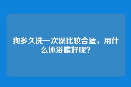 狗多久洗一次澡比较合适，用什么沐浴露好呢？