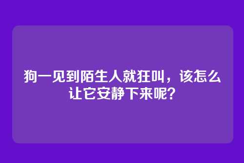 狗一见到陌生人就狂叫,该怎么让它安静下来呢?