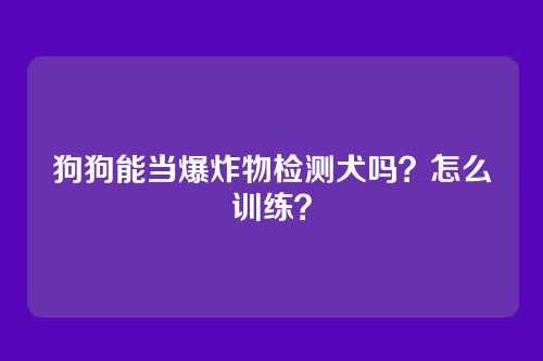 狗狗能当爆炸物检测犬吗?怎么训练?