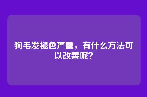 狗毛发褪色严重,有什么方法可以改善呢?