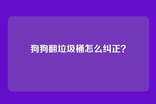 狗狗翻垃圾桶怎么纠正?