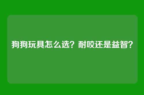狗狗玩具怎么选？耐咬还是益智？
