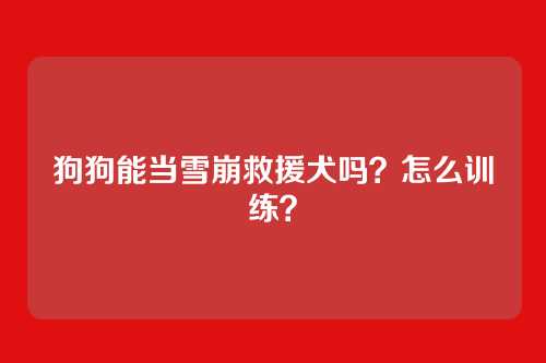狗狗能当雪崩救援犬吗？怎么训练？