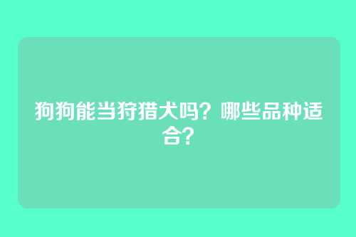 狗狗能当狩猎犬吗?哪些品种适合?