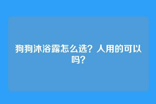 狗狗沐浴露怎么选？人用的可以吗？
