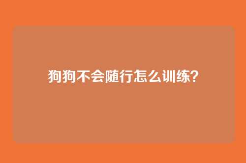狗狗不会随行怎么训练?