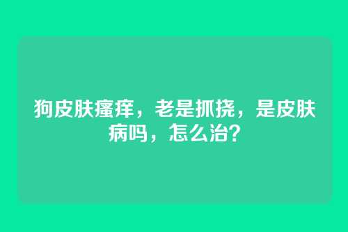 狗皮肤瘙痒,老是抓挠,是皮肤病吗,怎么治?