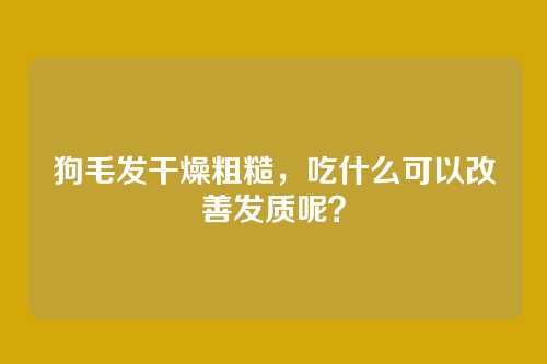 狗毛发干燥粗糙，吃什么可以改善发质呢？