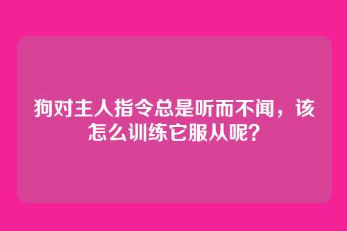 狗对主人指令总是听而不闻，该怎么训练它服从呢？