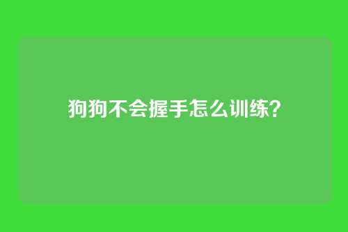 狗狗不会握手怎么训练?