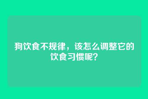 狗饮食不规律，该怎么调整它的饮食习惯呢？