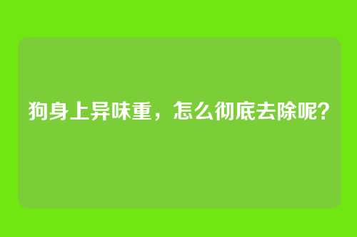狗身上异味重，怎么彻底去除呢？