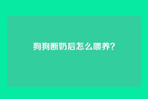 狗狗断奶后怎么喂养?