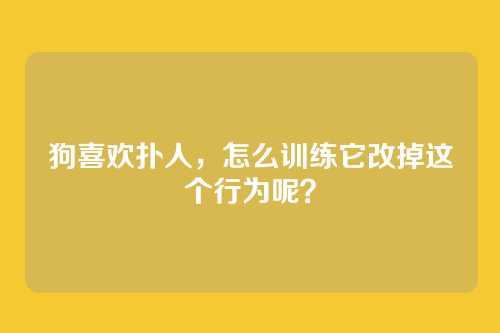 狗喜欢扑人,怎么训练它改掉这个行为呢?
