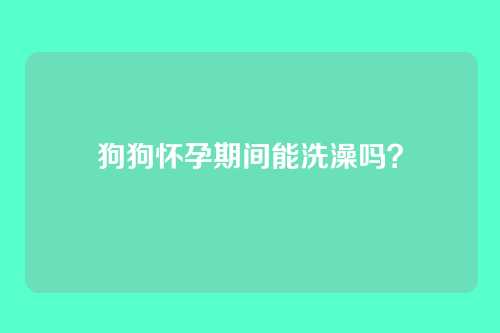 狗狗怀孕期间能洗澡吗？