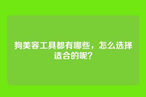 狗美容工具都有哪些，怎么选择适合的呢？