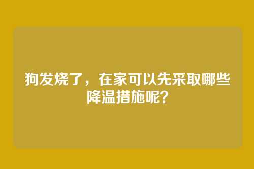 狗发烧了,在家可以先采取哪些降温措施呢?