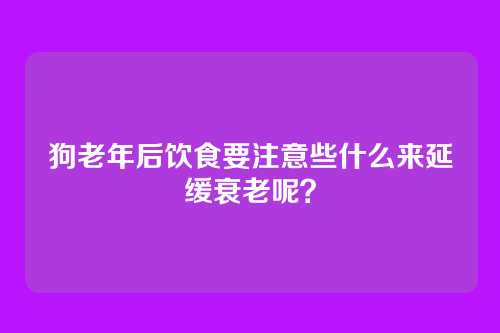 狗老年后饮食要注意些什么来延缓衰老呢？