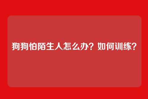 狗狗怕陌生人怎么办？如何训练？