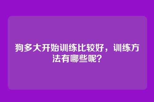 狗多大开始训练比较好,训练方法有哪些呢?