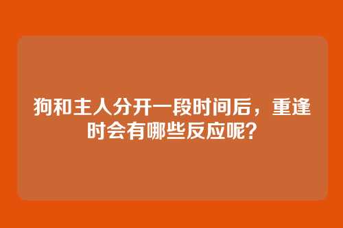狗和主人分开一段时间后，重逢时会有哪些反应呢？