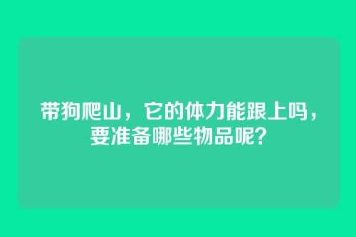 带狗爬山,它的体力能跟上吗,要准备哪些物品呢?